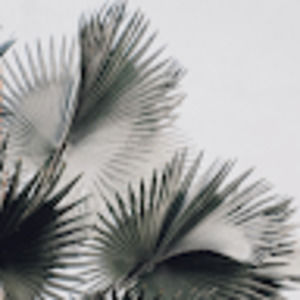 Meet your Posher, Lara